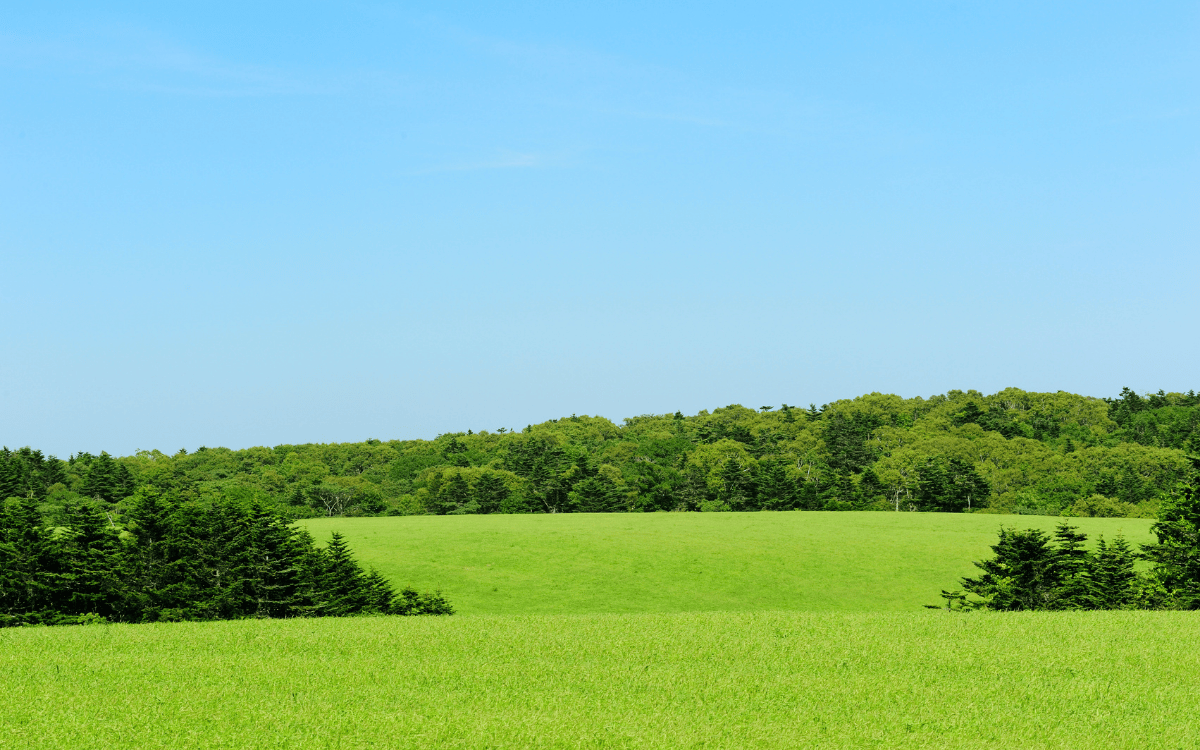 Why Summer Is the Best Time to Explore Country Living in Northwest Arkansas